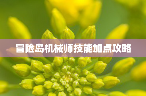 冒险岛机械师技能加点攻略