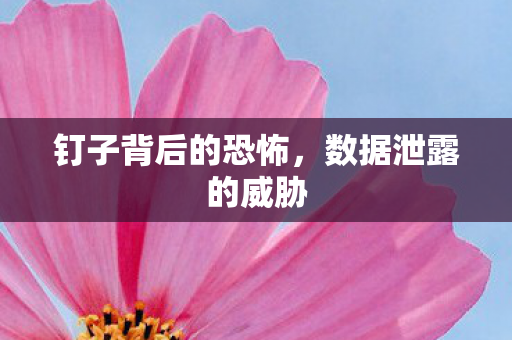 钉子背后的恐怖，数据泄露的威胁