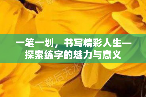 一笔一划，书写精彩人生—探索练字的魅力与意义
