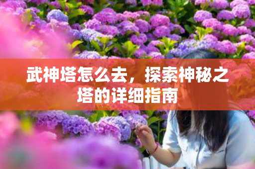 武神塔怎么去，探索神秘之塔的详细指南