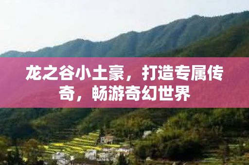 龙之谷小土豪，打造专属传奇，畅游奇幻世界