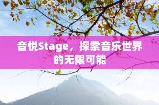 音悦Stage，探索音乐世界的无限可能