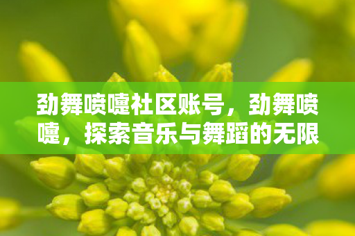 劲舞喷嚏社区账号，劲舞喷嚏，探索音乐与舞蹈的无限可能