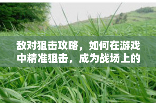 敌对狙击攻略，如何在游戏中精准狙击，成为战场上的霸主