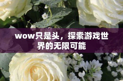 wow只是头，探索游戏世界的无限可能