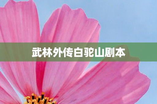 武林外传白驼山剧本