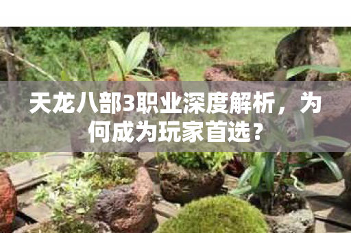 天龙八部3职业深度解析，为何成为玩家首选？