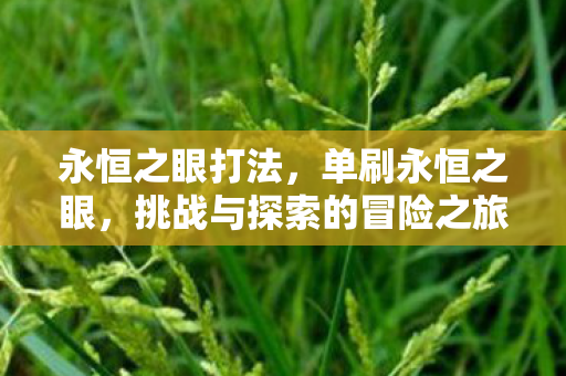 永恒之眼打法，单刷永恒之眼，挑战与探索的冒险之旅