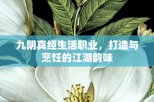 九阴真经生活职业，打造与烹饪的江湖韵味