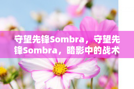 守望先锋Sombra，守望先锋Sombra，暗影中的战术大师