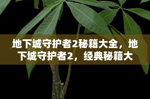 地下城守护者2秘籍大全，地下城守护者2，经典秘籍大揭秘