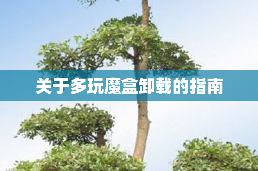 关于多玩魔盒卸载的指南