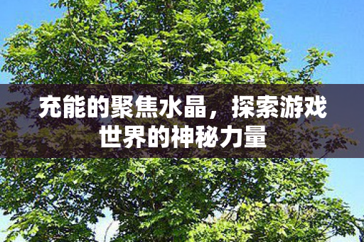 充能的聚焦水晶，探索游戏世界的神秘力量