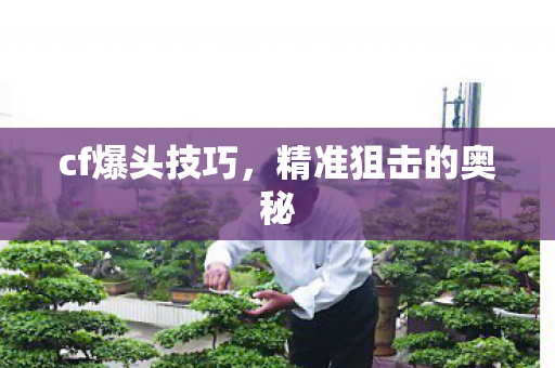 cf爆头技巧，精准狙击的奥秘