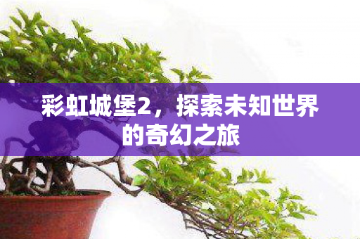 彩虹城堡2，探索未知世界的奇幻之旅