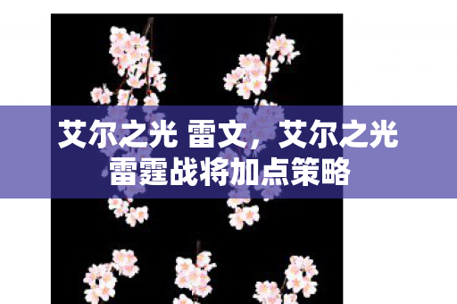 艾尔之光 雷文，艾尔之光雷霆战将加点策略