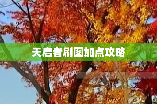 天启者刷图加点攻略