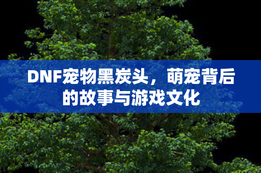 DNF宠物黑炭头，萌宠背后的故事与游戏文化