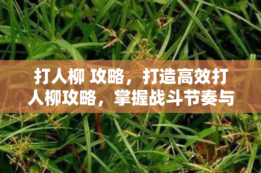 打人柳 攻略，打造高效打人柳攻略，掌握战斗节奏与策略