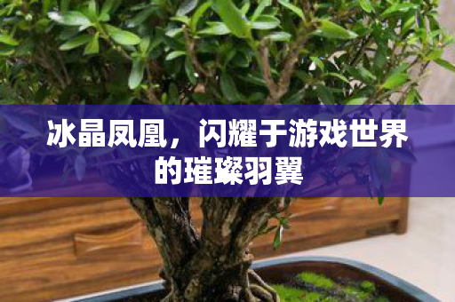 冰晶凤凰，闪耀于游戏世界的璀璨羽翼