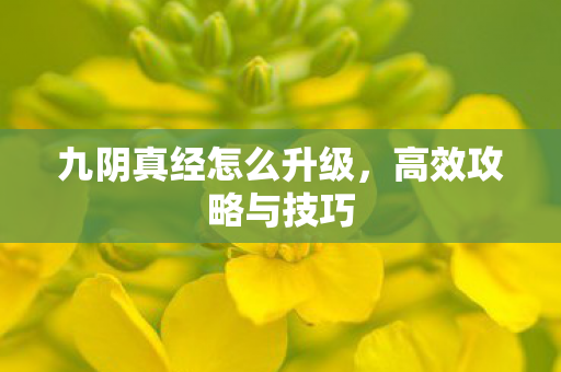 九阴真经怎么升级，高效攻略与技巧