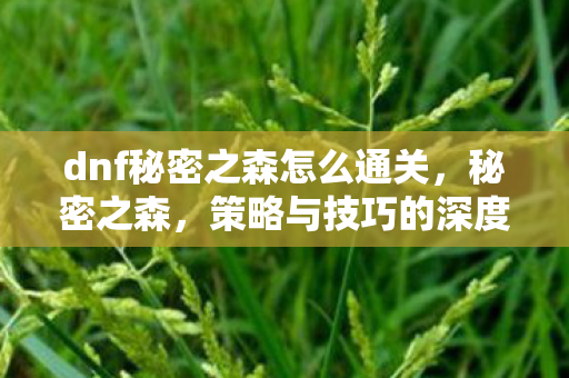 dnf秘密之森怎么通关，秘密之森，策略与技巧的深度解析