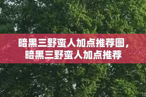 暗黑三野蛮人加点推荐图，暗黑三野蛮人加点推荐