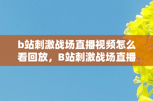 b站刺激战场直播视频怎么看回放，B站刺激战场直播视频怎么看
