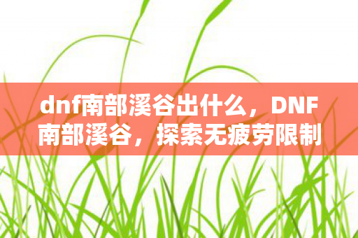 dnf南部溪谷出什么，DNF南部溪谷，探索无疲劳限制的神秘之地