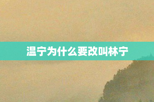 温宁为什么要改叫林宁