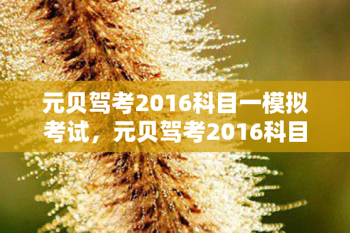 元贝驾考2016科目一模拟考试，元贝驾考2016科目一，掌握交通规则的智慧之路