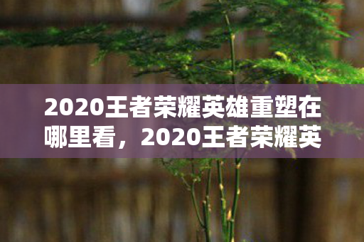 2020王者荣耀英雄重塑在哪里看，2020王者荣耀英雄重塑，重塑背后的故事与影响