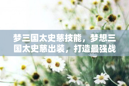 梦三国太史慈技能，梦想三国太史慈出装，打造最强战斗力的关键