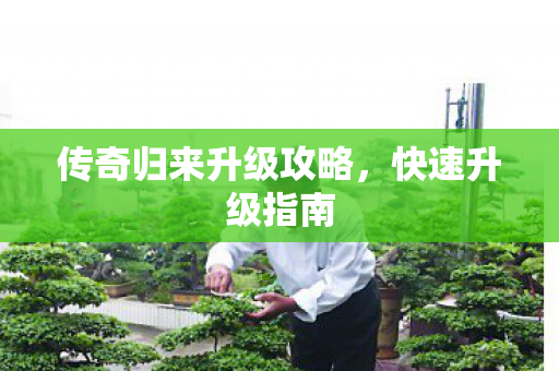 传奇归来升级攻略,快速升级指南 传奇归来升级攻略,快速升级指南