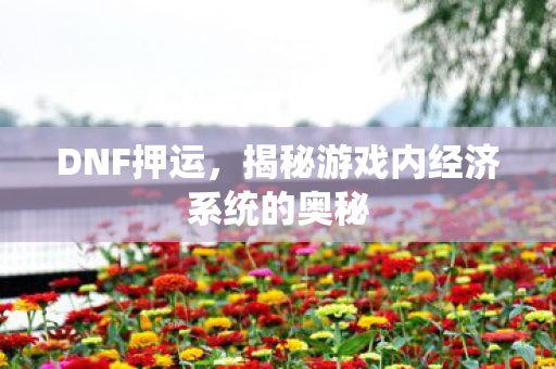 DNF押运，揭秘游戏内经济系统的奥秘