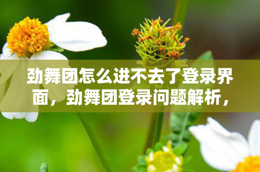 劲舞团怎么进不去了登录界面，劲舞团登录问题解析，为何无法进入游戏的解决方案