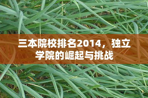 三本院校排名2014，独立学院的崛起与挑战