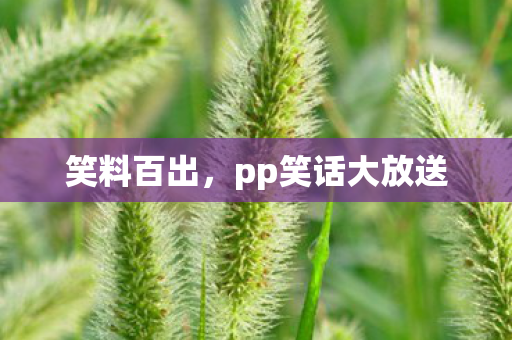 笑料百出，pp笑话大放送