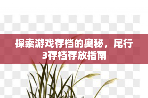 探索游戏存档的奥秘，尾行3存档存放指南