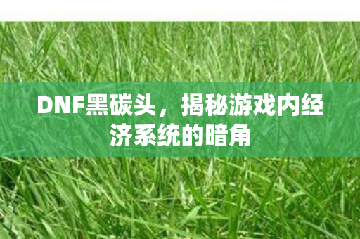 DNF黑碳头，揭秘游戏内经济系统的暗角