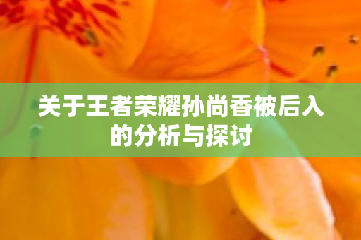 关于王者荣耀孙尚香被后入的分析与探讨 关于王者荣耀孙尚香被后入的分析与探讨
