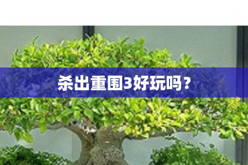 杀出重围3好玩吗？