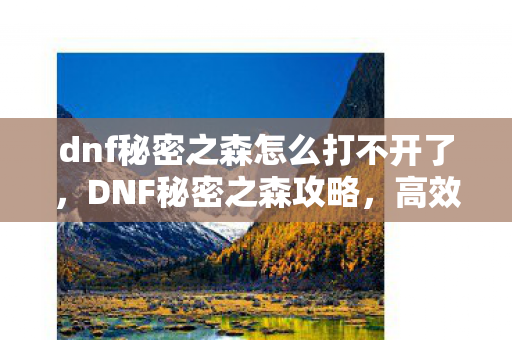 dnf秘密之森怎么打不开了，DNF秘密之森攻略，高效通关技巧与策略