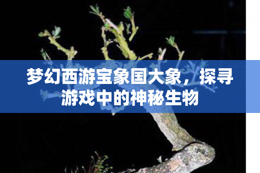 梦幻西游宝象国大象，探寻游戏中的神秘生物