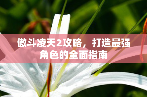 傲斗凌天2攻略，打造最强角色的全面指南