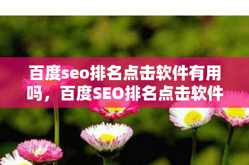 百度seo排名点击软件有用吗，百度SEO排名点击软件，提升网站排名的智能工具
