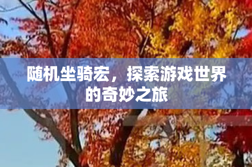 随机坐骑宏，探索游戏世界的奇妙之旅