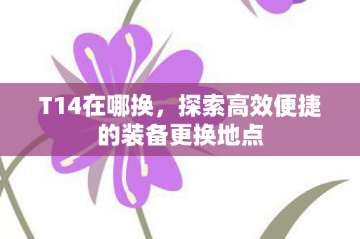 T14在哪换，探索高效便捷的装备更换地点