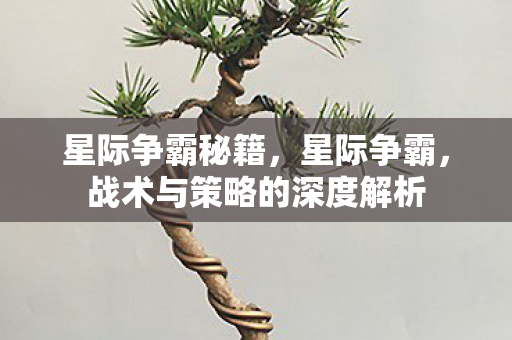 星际争霸秘籍，星际争霸，战术与策略的深度解析