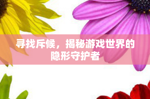 寻找斥候，揭秘游戏世界的隐形守护者